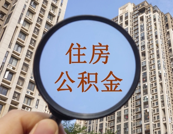 舞钢公积金一次性提（公积金一次性提取要求）